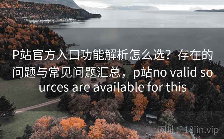 P站官方入口功能解析怎么选？存在的问题与常见问题汇总，p站no valid sources are available for this