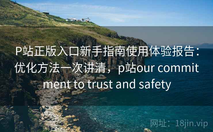 P站正版入口新手指南使用体验报告：优化方法一次讲清，p站our commitment to trust and safety