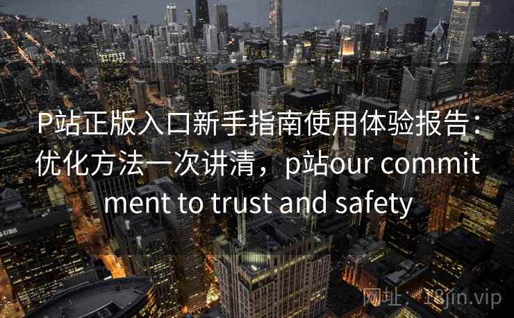 P站正版入口新手指南使用体验报告：优化方法一次讲清，p站our commitment to trust and safety