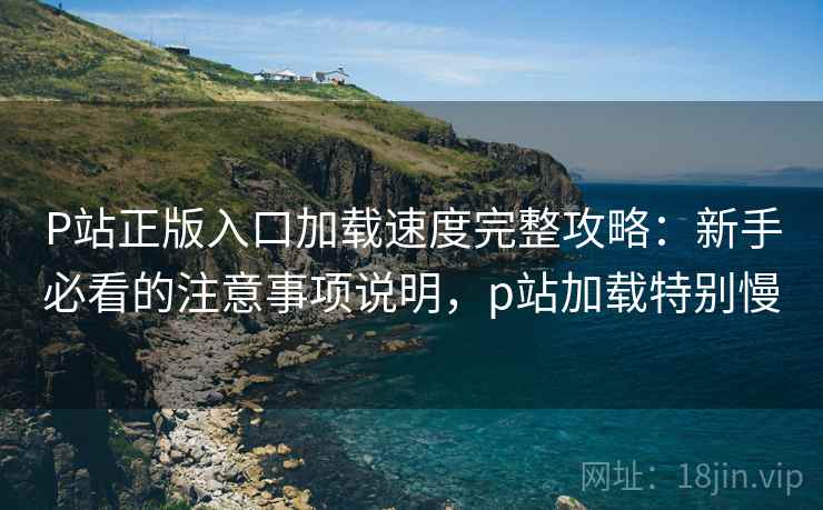 P站正版入口加载速度完整攻略：新手必看的注意事项说明，p站加载特别慢