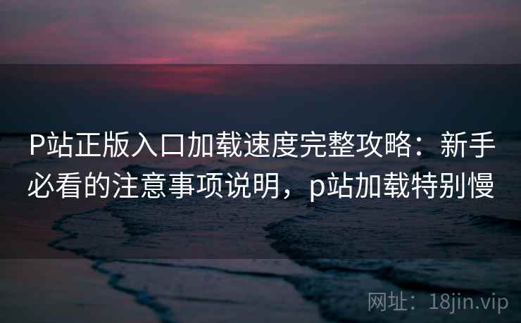 P站正版入口加载速度完整攻略：新手必看的注意事项说明，p站加载特别慢