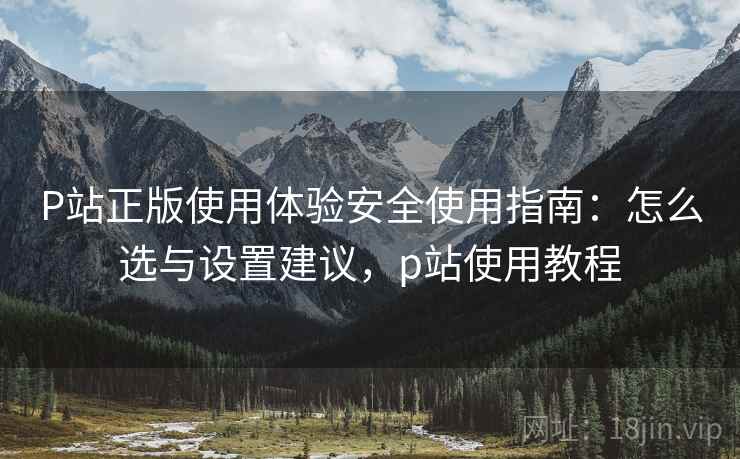 P站正版使用体验安全使用指南：怎么选与设置建议，p站使用教程