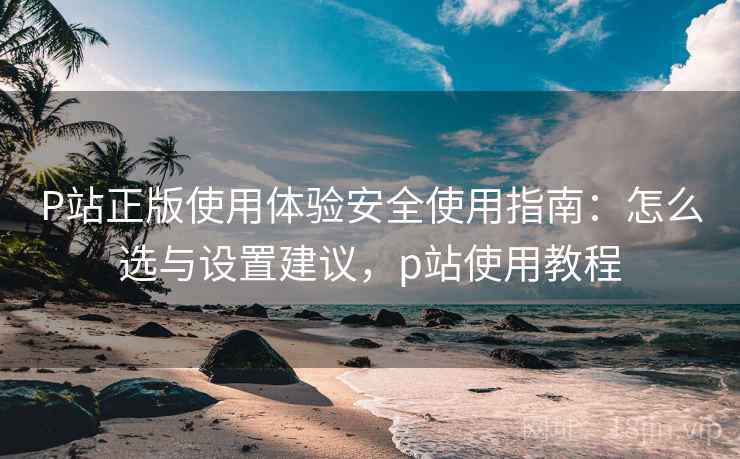 P站正版使用体验安全使用指南：怎么选与设置建议，p站使用教程