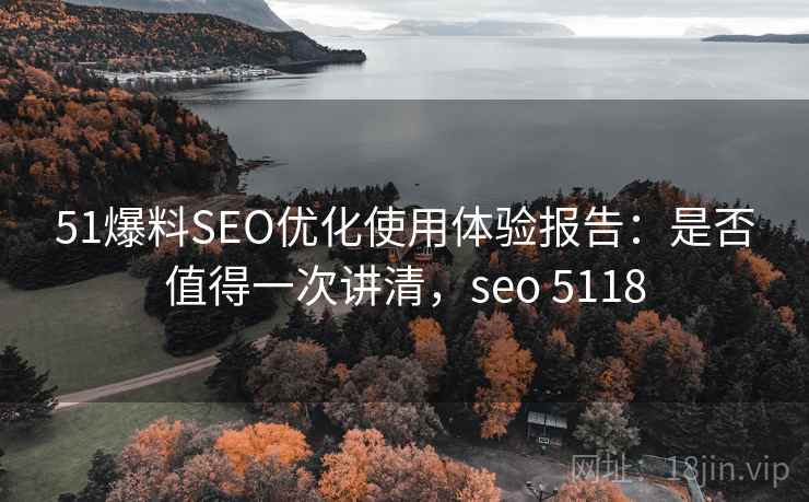 51爆料SEO优化使用体验报告：是否值得一次讲清，seo 5118