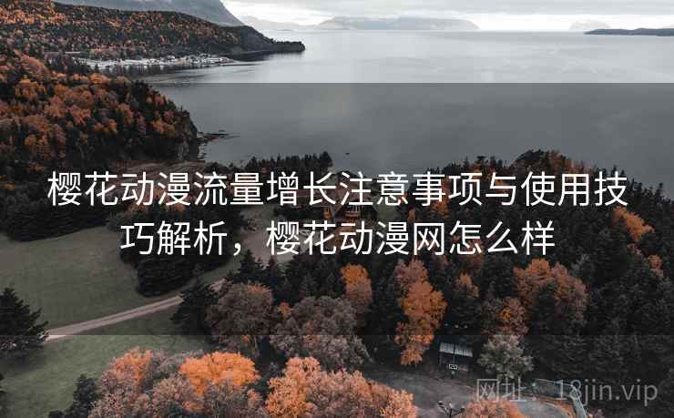 樱花动漫流量增长注意事项与使用技巧解析，樱花动漫网怎么样