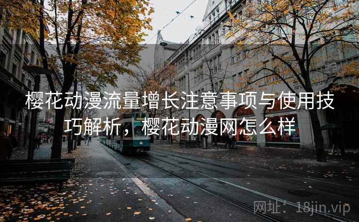 樱花动漫流量增长注意事项与使用技巧解析，樱花动漫网怎么样