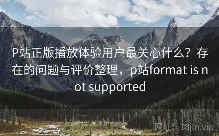 P站正版播放体验用户最关心什么？存在的问题与评价整理，p站format is not supported