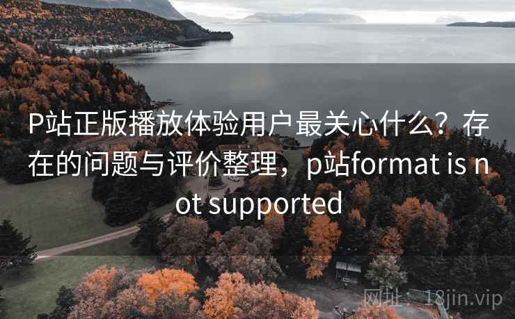 P站正版播放体验用户最关心什么？存在的问题与评价整理，p站format is not supported