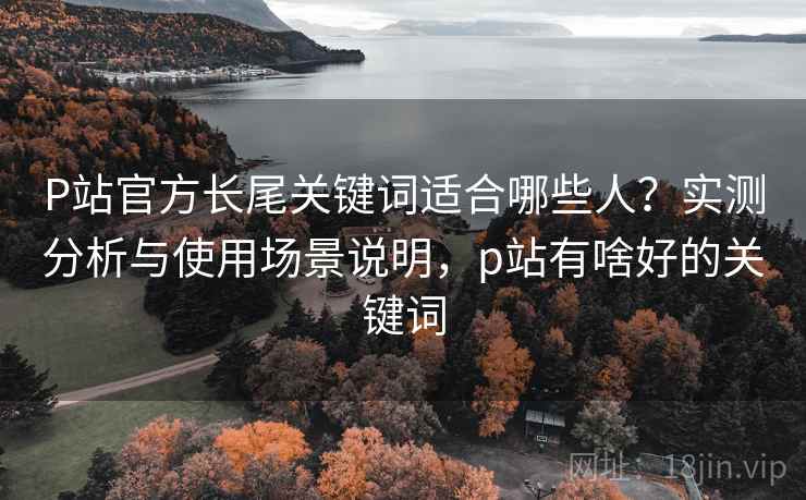 P站官方长尾关键词适合哪些人？实测分析与使用场景说明，p站有啥好的关键词