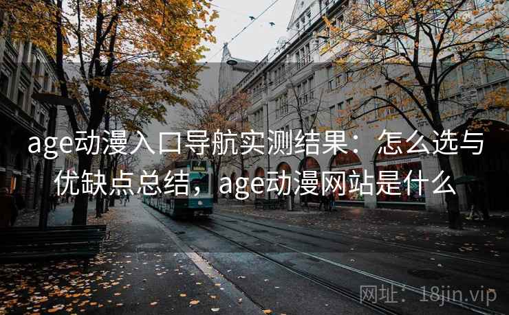age动漫入口导航实测结果：怎么选与优缺点总结，age动漫网站是什么