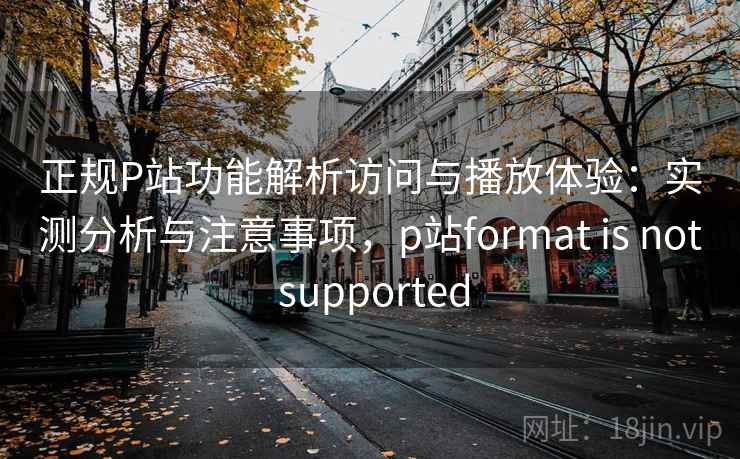 正规P站功能解析访问与播放体验：实测分析与注意事项，p站format is not supported