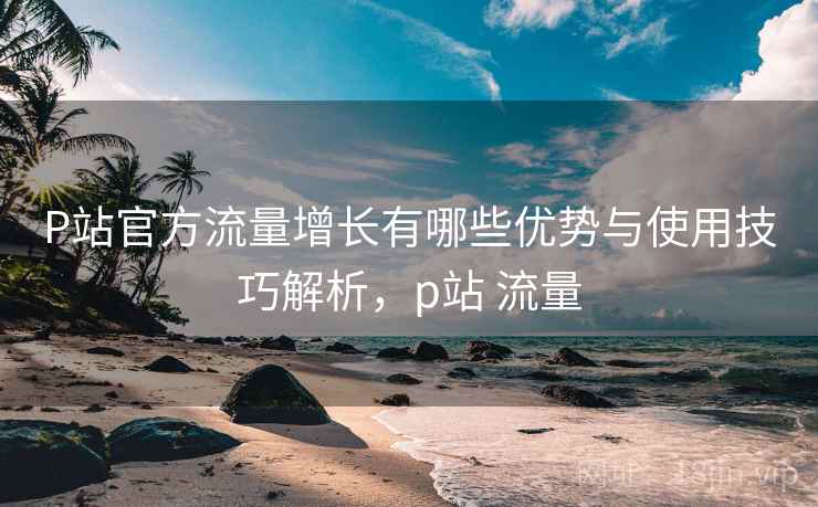 P站官方流量增长有哪些优势与使用技巧解析，p站 流量