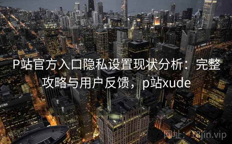 P站官方入口隐私设置现状分析：完整攻略与用户反馈，p站xude