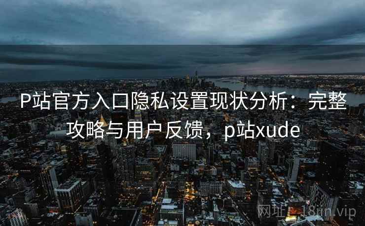 P站官方入口隐私设置现状分析：完整攻略与用户反馈，p站xude