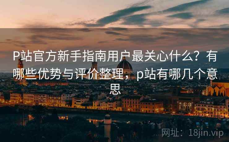 P站官方新手指南用户最关心什么？有哪些优势与评价整理，p站有哪几个意思