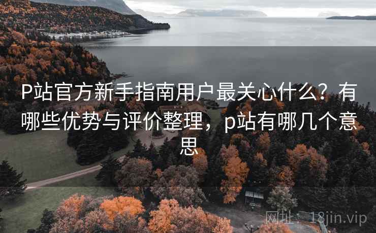 P站官方新手指南用户最关心什么？有哪些优势与评价整理，p站有哪几个意思
