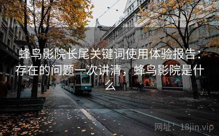 蜂鸟影院长尾关键词使用体验报告：存在的问题一次讲清，蜂鸟影院是什么