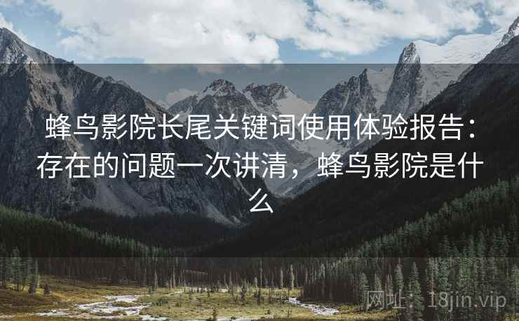 蜂鸟影院长尾关键词使用体验报告：存在的问题一次讲清，蜂鸟影院是什么