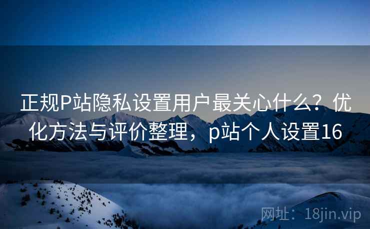 正规P站隐私设置用户最关心什么？优化方法与评价整理，p站个人设置16