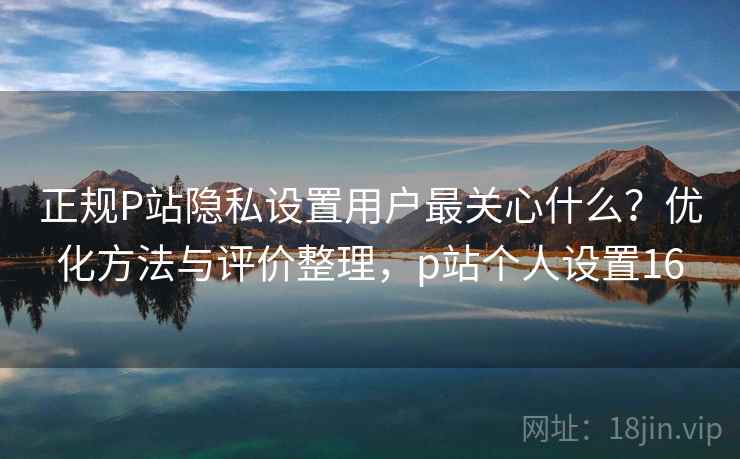 正规P站隐私设置用户最关心什么？优化方法与评价整理，p站个人设置16