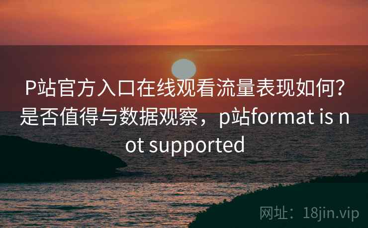 P站官方入口在线观看流量表现如何？是否值得与数据观察，p站format is not supported
