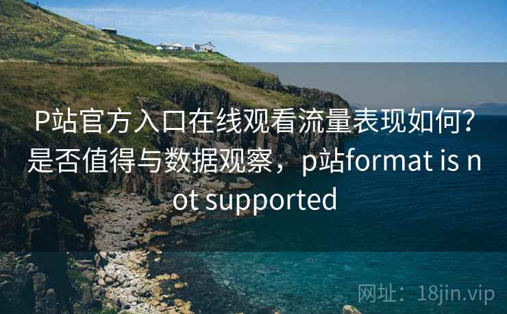 P站官方入口在线观看流量表现如何？是否值得与数据观察，p站format is not supported