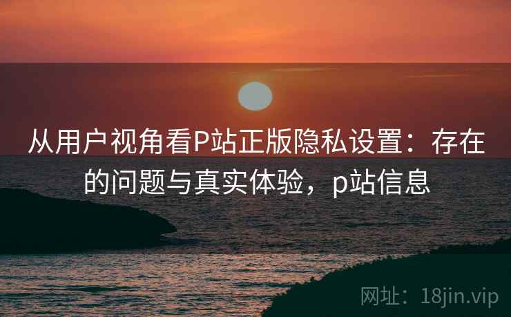 从用户视角看P站正版隐私设置：存在的问题与真实体验，p站信息