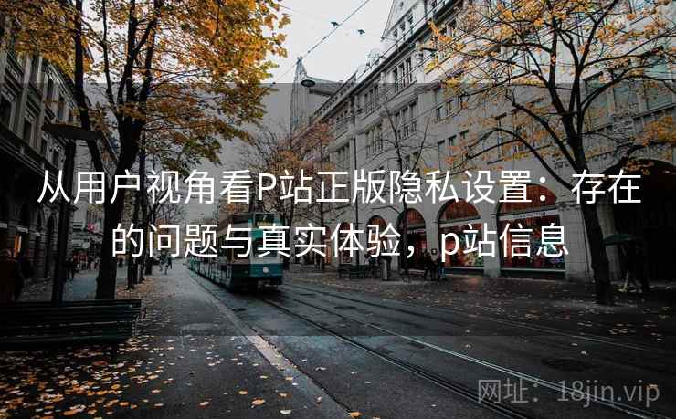 从用户视角看P站正版隐私设置：存在的问题与真实体验，p站信息