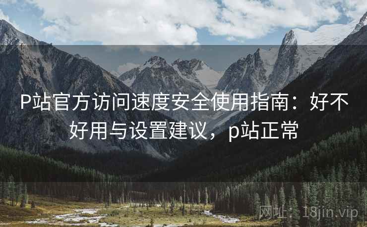 P站官方访问速度安全使用指南：好不好用与设置建议，p站正常