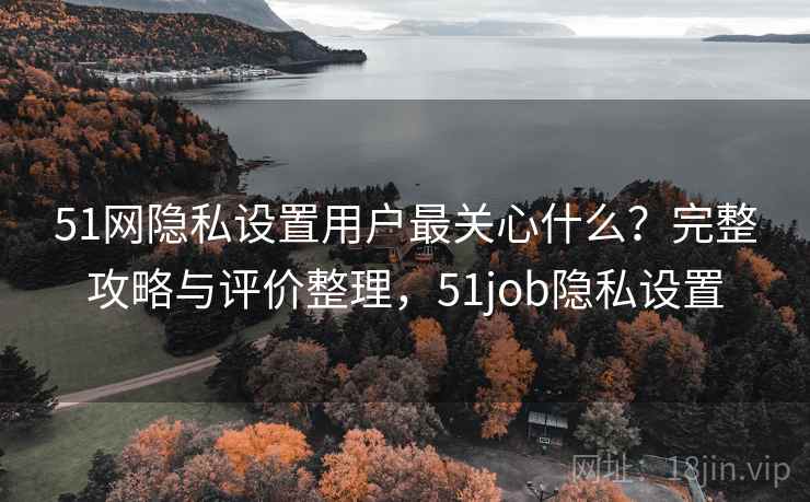 51网隐私设置用户最关心什么？完整攻略与评价整理，51job隐私设置