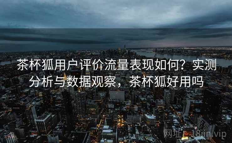 茶杯狐用户评价流量表现如何？实测分析与数据观察，茶杯狐好用吗