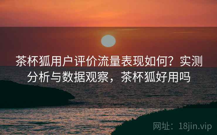 茶杯狐用户评价流量表现如何?实测分析与数据观察,茶杯狐好用吗 茶杯狐用户评价流量表现如何?实测分析与数据观察,茶杯狐好用吗