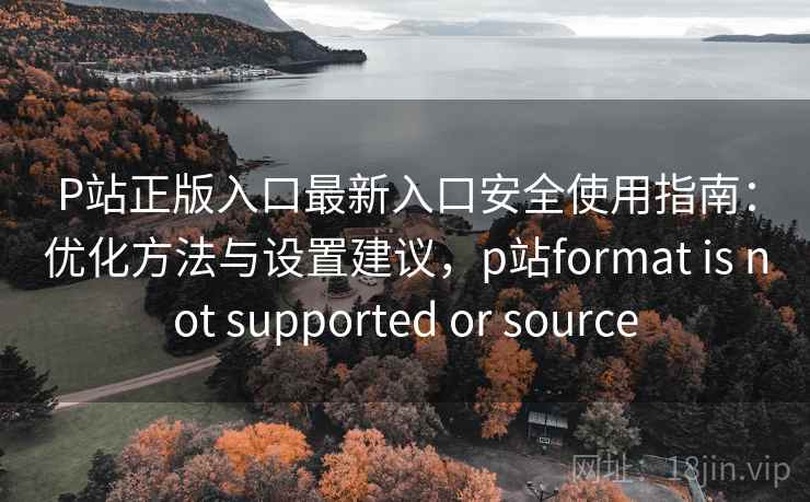 P站正版入口最新入口安全使用指南：优化方法与设置建议，p站format is not supported or source