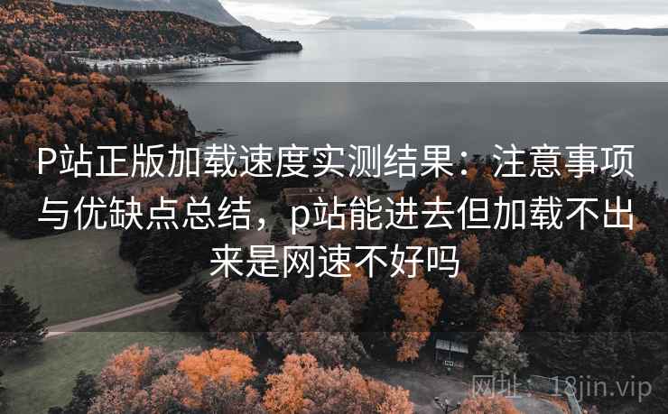 P站正版加载速度实测结果：注意事项与优缺点总结，p站能进去但加载不出来是网速不好吗