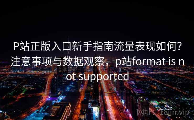 P站正版入口新手指南流量表现如何？注意事项与数据观察，p站format is not supported