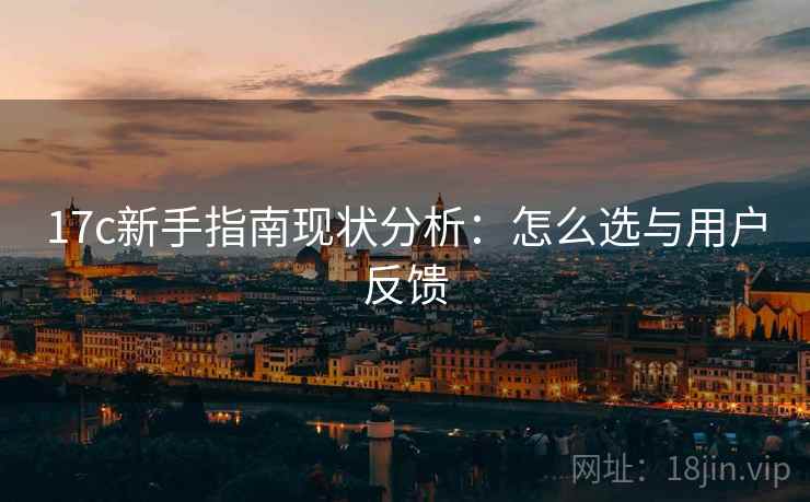 17c新手指南现状分析：怎么选与用户反馈