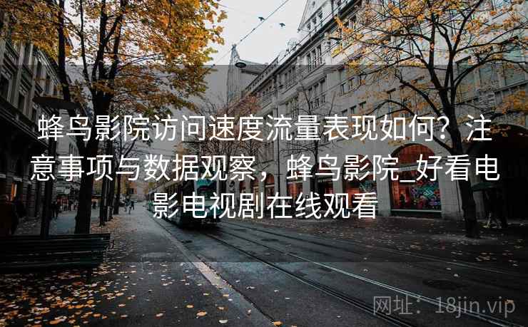 蜂鸟影院访问速度流量表现如何？注意事项与数据观察，蜂鸟影院_好看电影电视剧在线观看