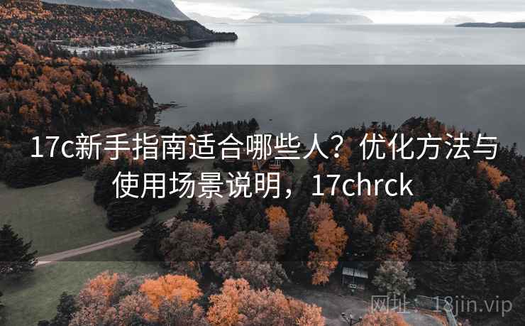 17c新手指南适合哪些人？优化方法与使用场景说明，17chrck