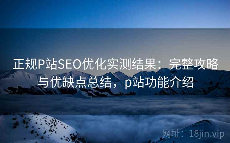 正规P站SEO优化实测结果：完整攻略与优缺点总结，p站功能介绍