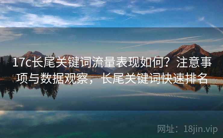 17c长尾关键词流量表现如何？注意事项与数据观察，长尾关键词快速排名
