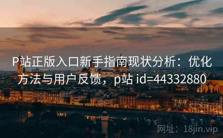 P站正版入口新手指南现状分析：优化方法与用户反馈，p站 id=44332880