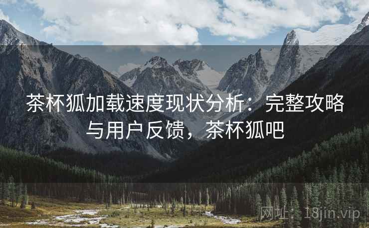 茶杯狐加载速度现状分析：完整攻略与用户反馈，茶杯狐吧