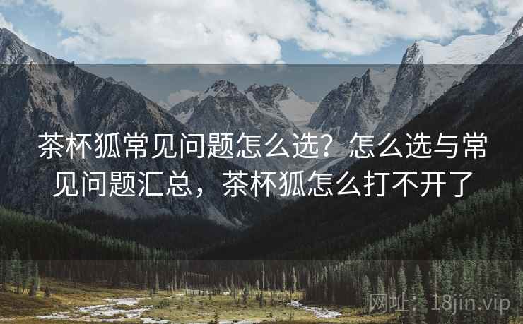 茶杯狐常见问题怎么选？怎么选与常见问题汇总，茶杯狐怎么打不开了