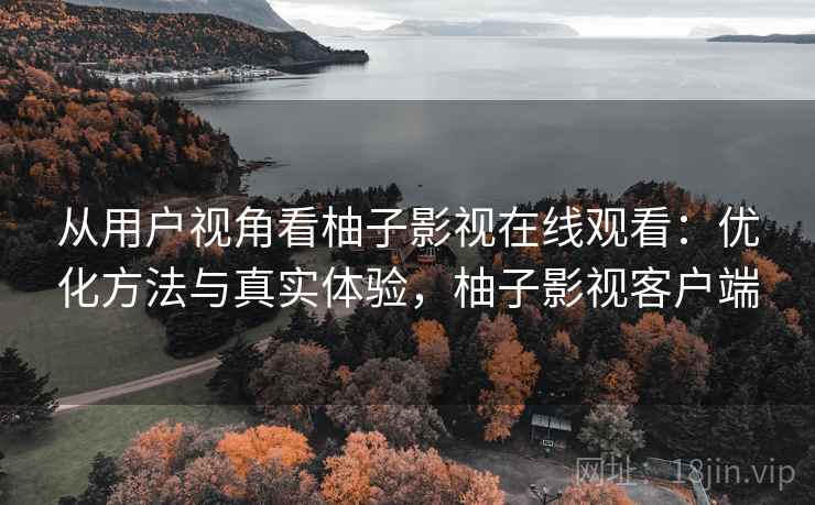 从用户视角看柚子影视在线观看：优化方法与真实体验，柚子影视客户端