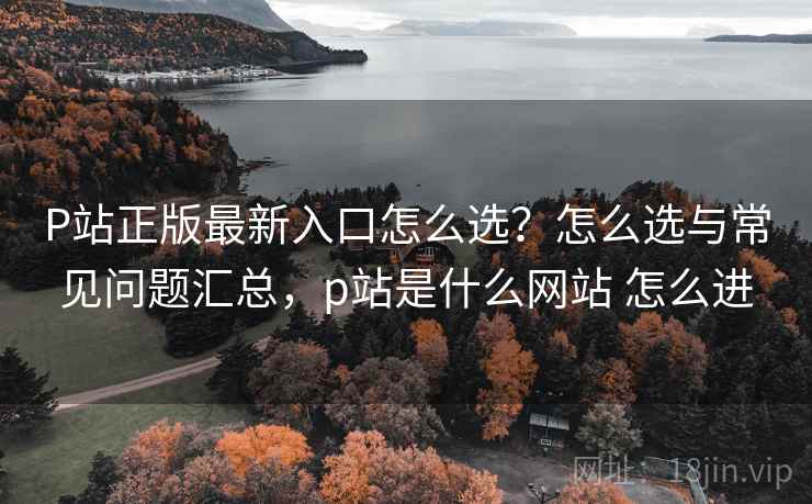P站正版最新入口怎么选？怎么选与常见问题汇总，p站是什么网站 怎么进
