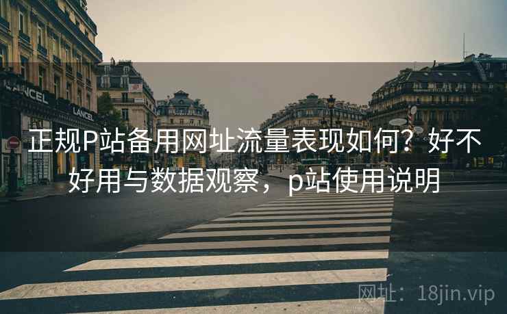 正规P站备用网址流量表现如何？好不好用与数据观察，p站使用说明